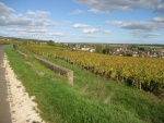 Weinberge vor Beaune