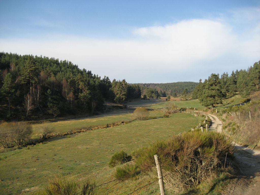 Ab in den Aubrac