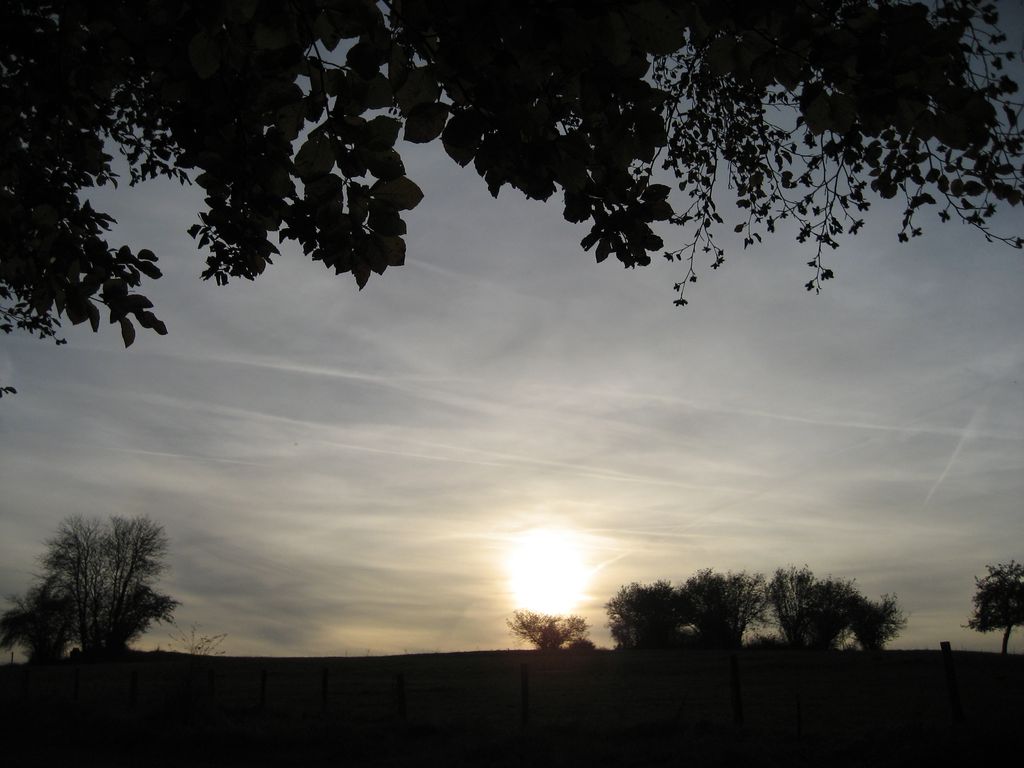 Abendstimmung in der Eifel