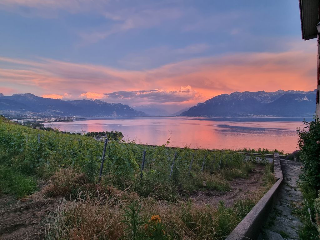 Abendstimmung in Saint-Saphorin