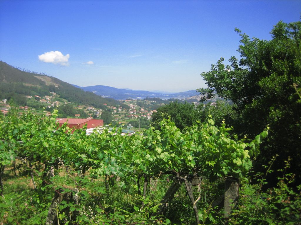 Aussicht bei Barreiras