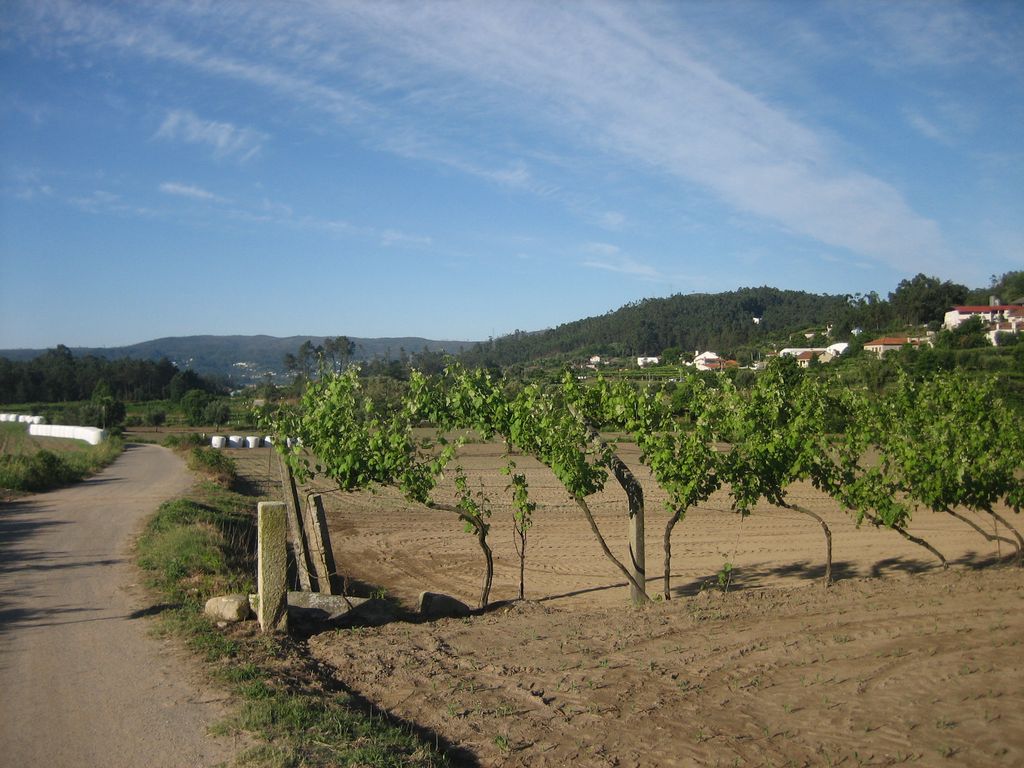 Balugães