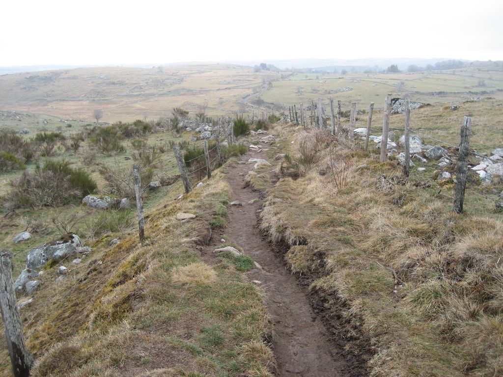 Bergland des Aubrac