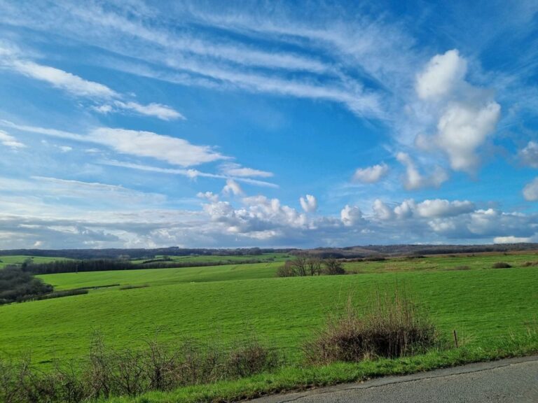 Département Marne