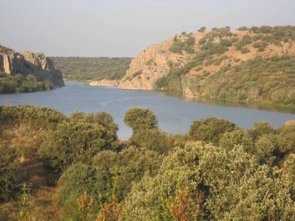 Der Río Esla hinter Granja de Moreruela