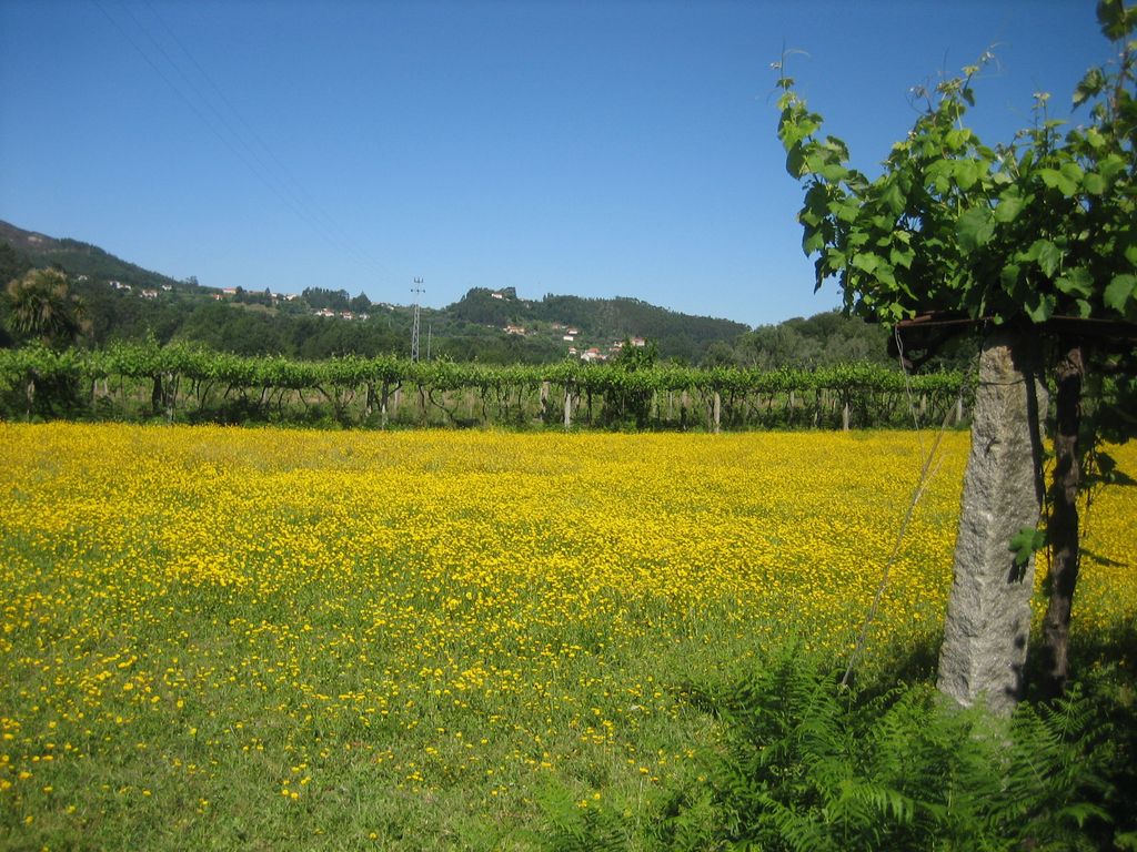 Landschaft bei Facha
