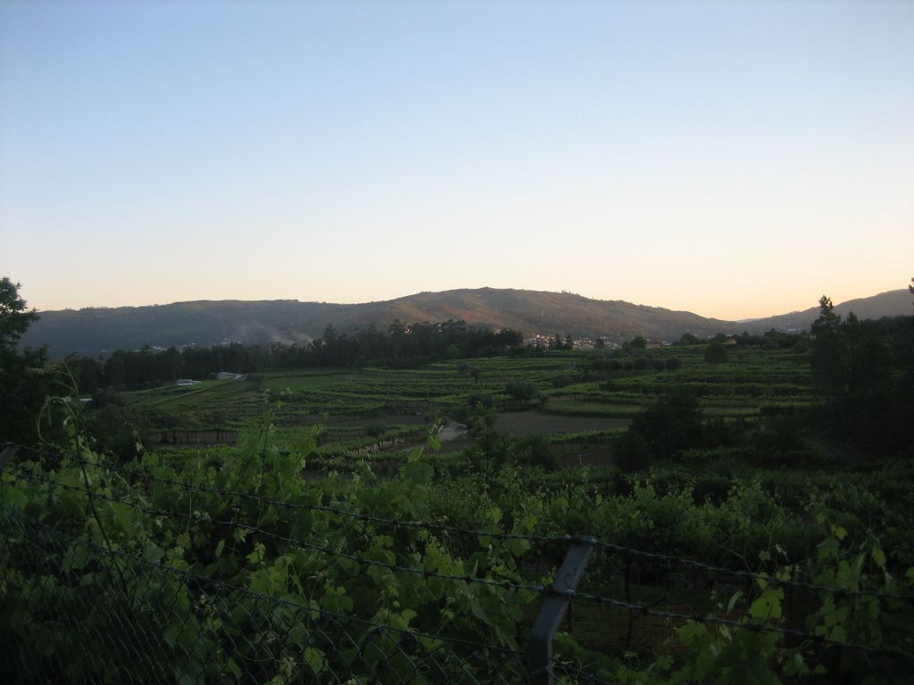 Landschaft bei Portela de Tamel