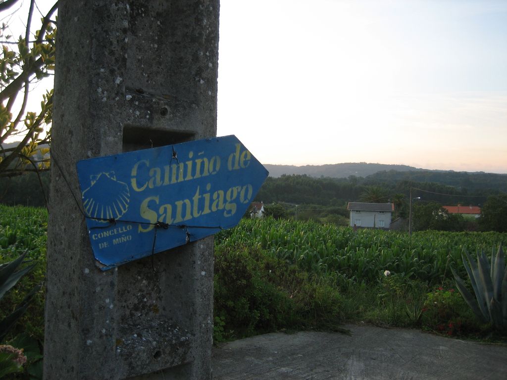 Morgenstimmung bei Miño