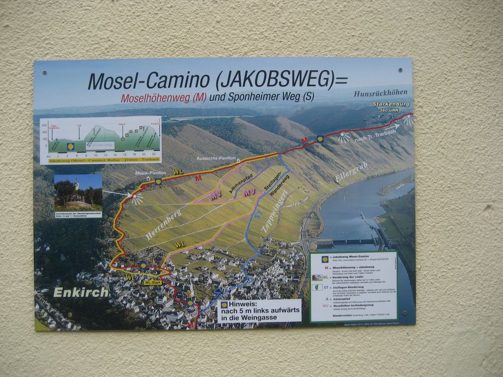 Mosel-Camino bei Enkirch