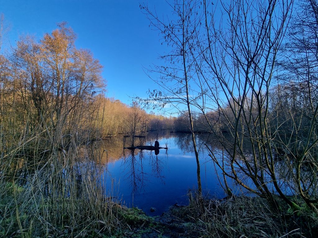 Niersauen Wickrath