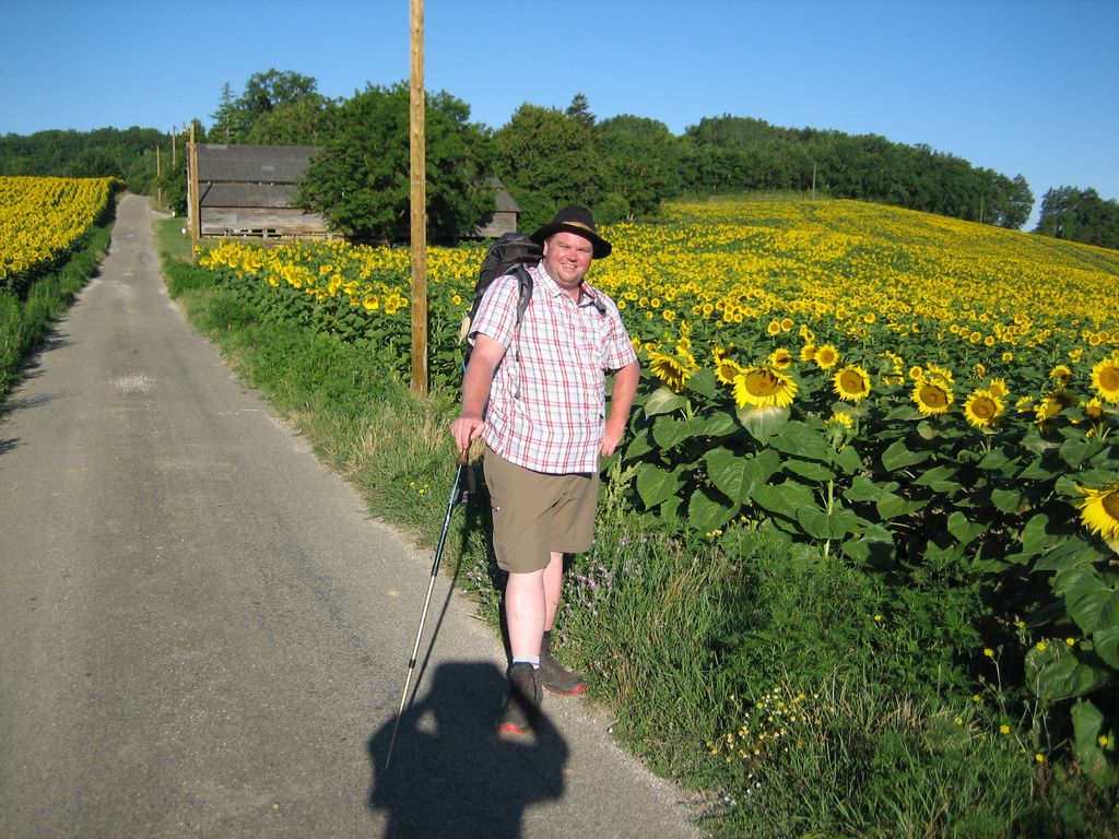 Sonnenblumen vor Lauzerte