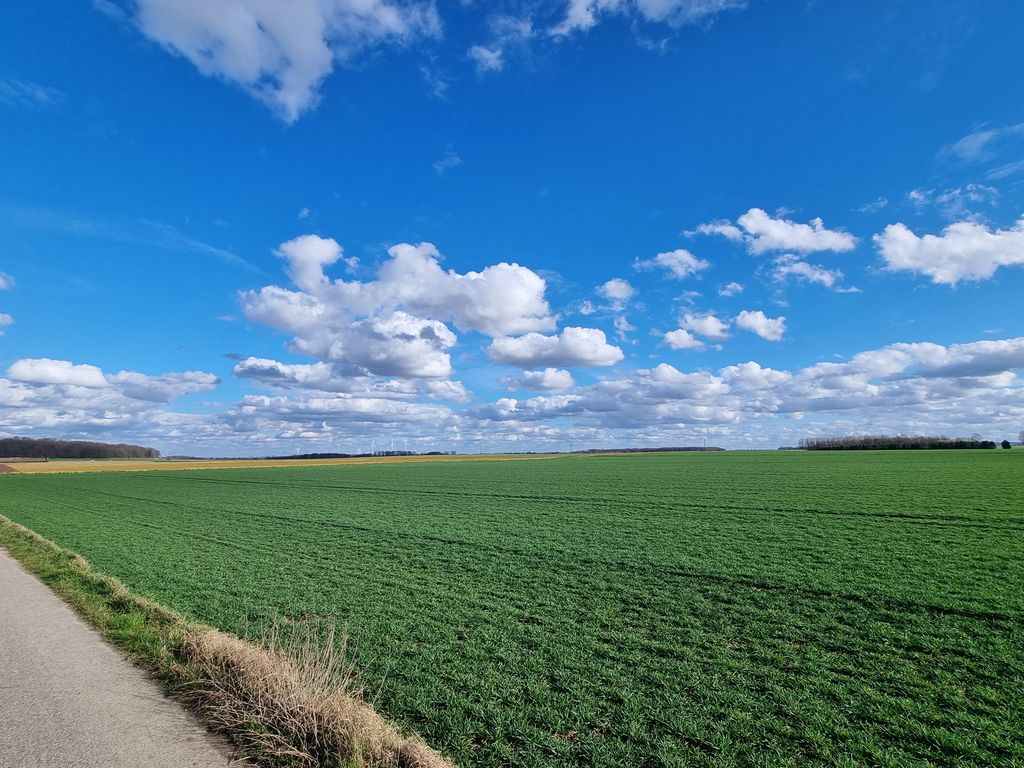 Via Novesiana nach Schelsen