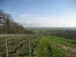 Villers-Marmery in der Champagne