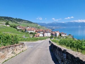 Weinberge am Genfer See