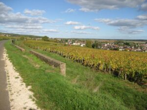 Weinberge vor Beaune