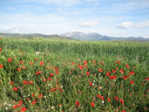 Landschaft bei Torres del Río