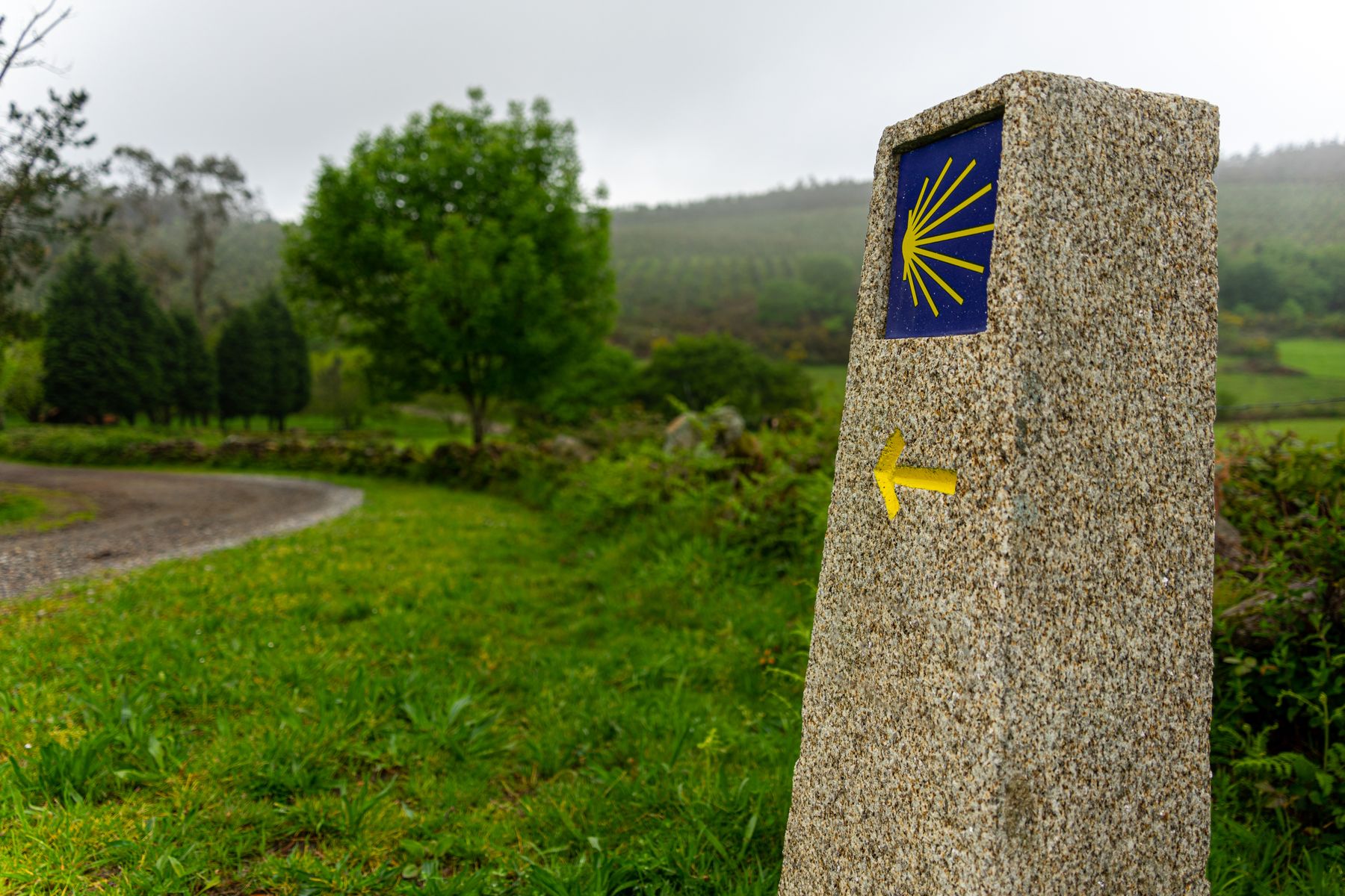 Steinerner Wegweiser mit blauer Kachel, gelber Jakobsmuschel und gelbem Pfeil am Rand einer grünen Hügellandschaft